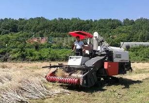 農機服務“觸網”升級 陜西省農業機械化管理局信息網引領現代農業新變革